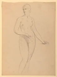 Disegno, signora Henry Schieffelin, S, 1881