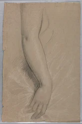 Disegno della signora Rutherford B Hayes, 1880