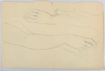 Disegno, studio per "Martha Washing", 20 dicembre 1878