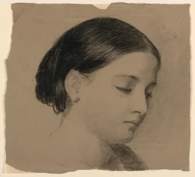 Disegno, La moglie dell