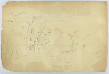 Paesaggio montano