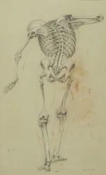 Studio di scheletro, c.1848