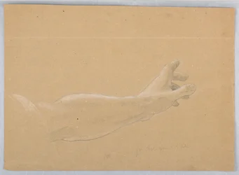Studio della mano per l