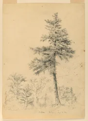 Studio della cicuta, Gorham, New Hampshire