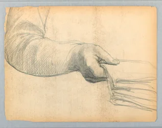 Studio del Braccio Destro