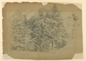Studio di alberi, North Conway, New Hampshire