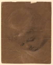 Studio della testa di un bambino