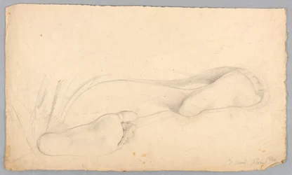 Studio dei piedi di una donna sdraiata