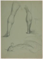 Due studi anatomici parziali