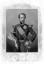 Napoleone III, Imperatore di Francia, XIX secolo