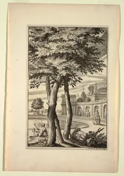 Tavola nel Nouveaux Livre de Paysages (Nuovo Libro di Paesaggi)