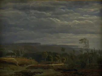 Vista di un paesaggio boscoso nello Jutland
