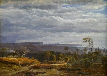 Veduta di un paesaggio boscoso nello Jutland