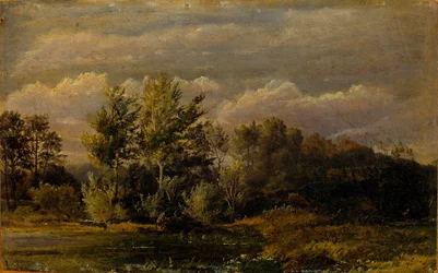 Un lago della foresta circondato da betulle. Studio.