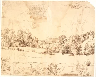 Un prato boschivo tra colline alberate