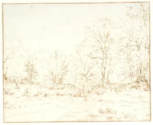Una Strada nel Bosco