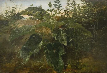 Studio del primo piano con foglie di bietola