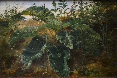 Studio del primo piano con le foglie di dado
