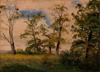 Paesaggio con alberi liberi