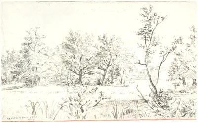 Paesaggio con bosco e prato