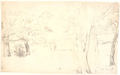 Paesaggio con alberi sparsi