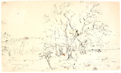 Paesaggio con alberi