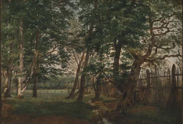 Il parco dei cervi a nord di Copenaghen