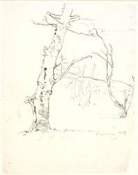 Tronchi d