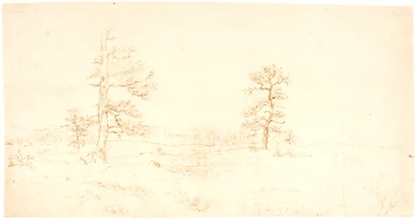 Vista su un paesaggio collinare con alcune querce solitarie