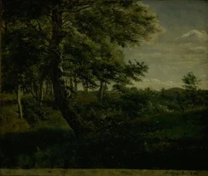 Foresta di Ørsbjerg ad Aarup, Funen