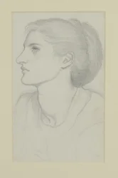 Testa di Donna