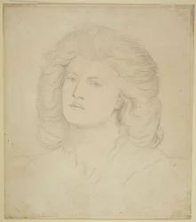 Testa di donna