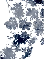 Ecologia profonda 1 Blu-grigio
