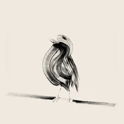 Elegante uccello d