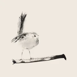Disegno di una cincia dal codone lungo