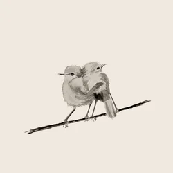 Dolce coppia di uccellini