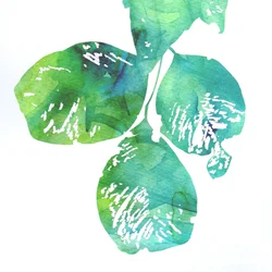 Foglie dai vivaci colori ad acquerello