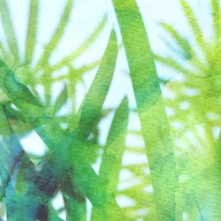 Acquerello: Erba verde
