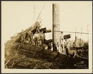 [Logger]