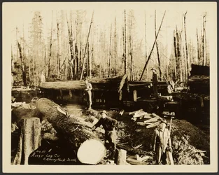 [Logger]