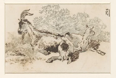 Capra e capretto in un paesaggio