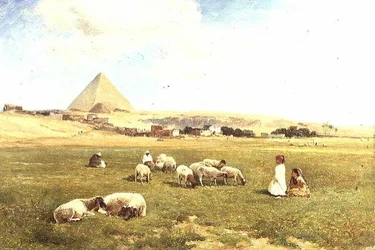Un gregge arabo vicino a Mena