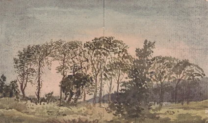 Paesaggio con alberi