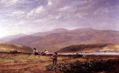 Fienaioli in un paesaggio gallese