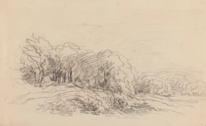 Paesaggio con alberi