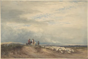 Cavalieri con pecore presso un estuario