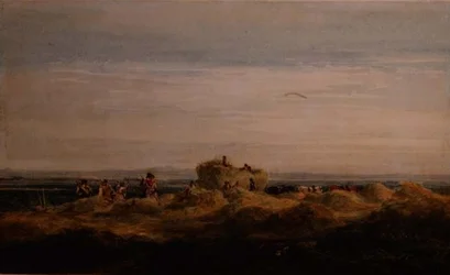Il campo di fieno
