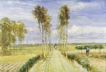 Il Viale dei Pioppi
