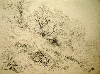 Paesaggio gallese
