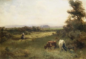 Un pomeriggio d